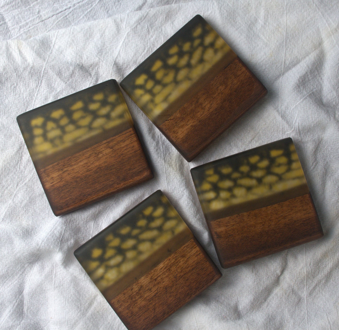 Northern Pike Walnut & Epoxy Coaster Set