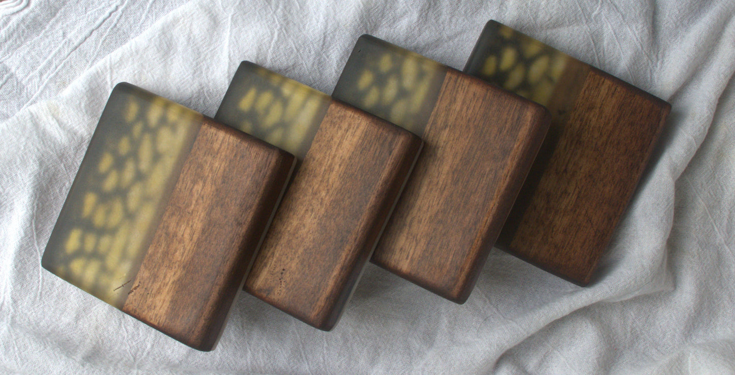 Northern Pike Walnut & Epoxy Coaster Set