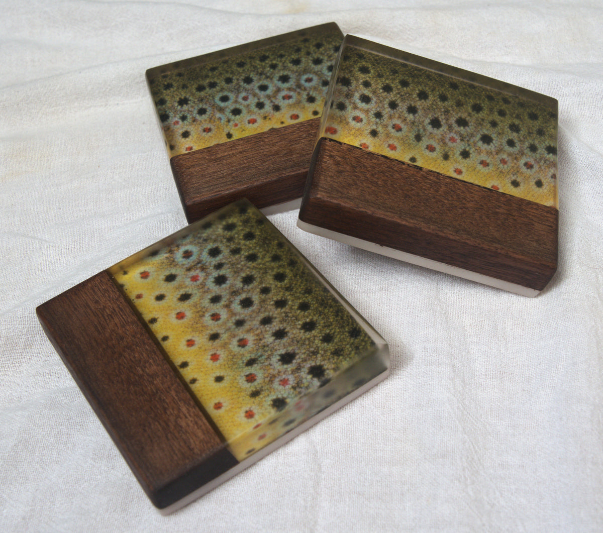 Wild Fish Coaster singles